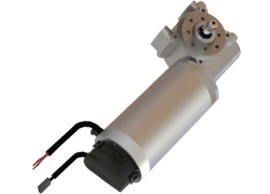 Worm Gear Motor