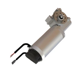 Worm Gear Motor
